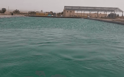 هوادهی استخر پرورش ماهی و تصفیهخانهی آب برگشتی در ایران — تصویر 8